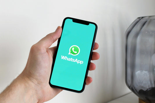 App met de dierenarts (10 minuten)