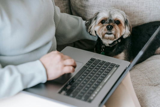 Pakket online adviesgesprekken (3+1 gratis)